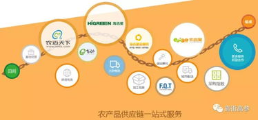 生鮮B2B旺火，為何“燒”不掉農(nóng)貿(mào)市場？——網(wǎng)絡(luò)信息技術(shù)服務(wù)下的共生邏輯